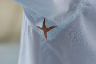 star
